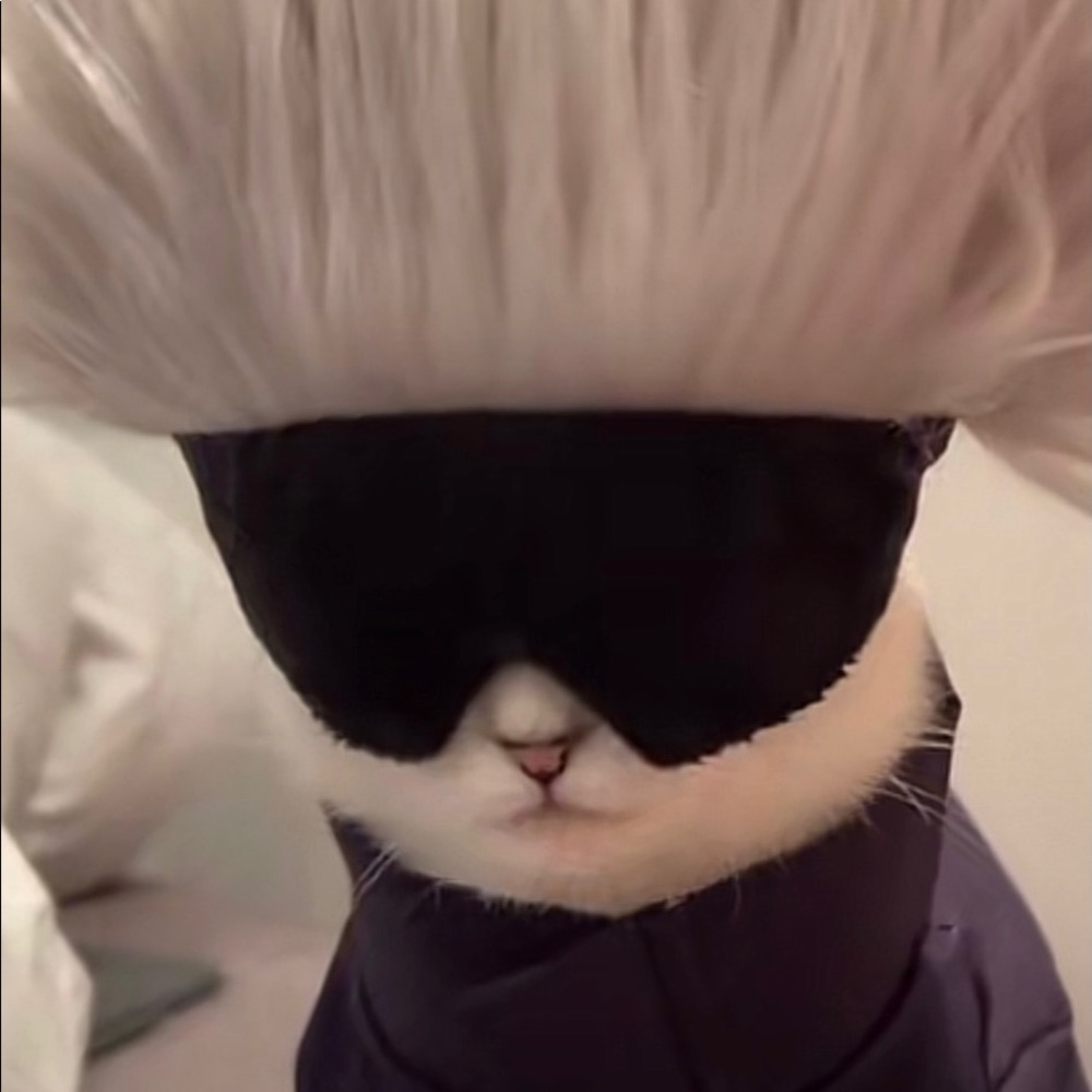 Meet your Posher, Julia